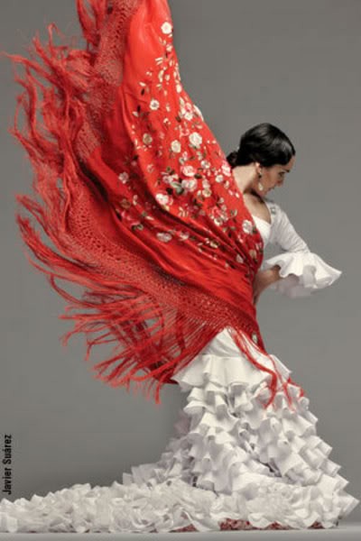 Photo:  Flamenco 11